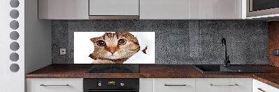 Achterwand keuken Kat