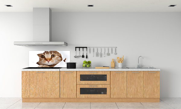 Achterwand keuken Kat