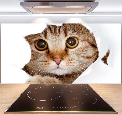 Achterwand keuken Kat
