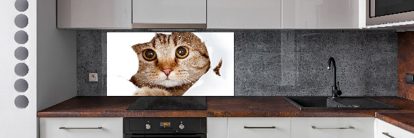 Achterwand keuken Kat