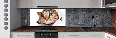 Achterwand keuken Kat