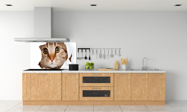 Achterwand keuken Kat