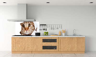 Achterwand keuken Kat