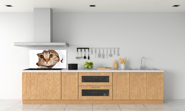 Achterwand keuken Kat