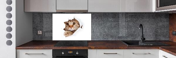 Achterwand keuken Kat