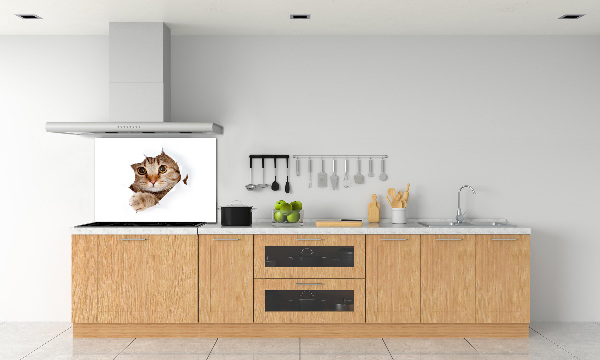 Achterwand keuken Kat