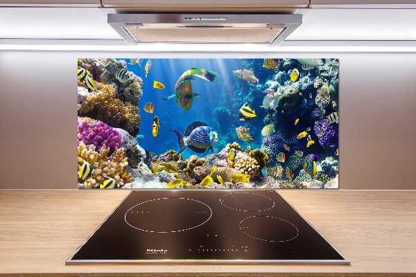 Spatscherm keuken Koraalrif