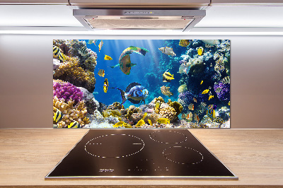 Panel do kuchni Rafa koralowa