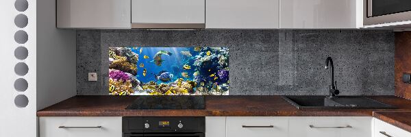 Spatscherm keuken Koraalrif