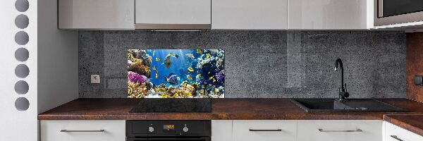 Spatscherm keuken Koraalrif