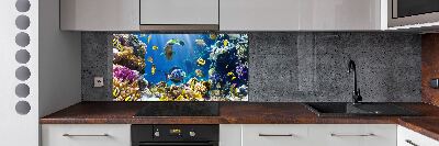 Spatscherm keuken Koraalrif