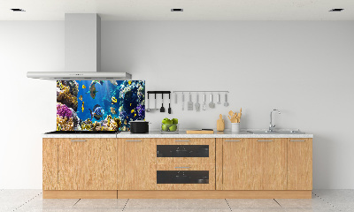 Spatscherm keuken Koraalrif