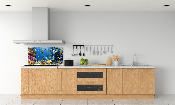 Spatscherm keuken Koraalrif