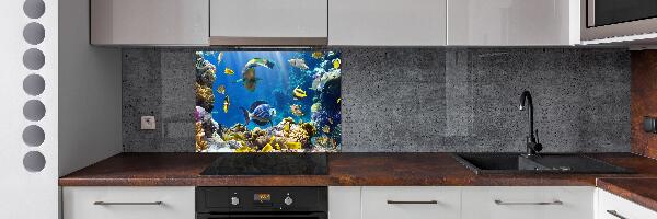 Spatscherm keuken Koraalrif