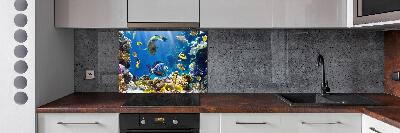 Spatscherm keuken Koraalrif