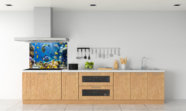 Spatscherm keuken Koraalrif