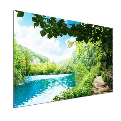 Glazen achterwand keuken Waterval in het bos