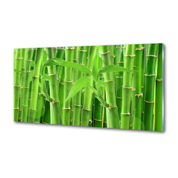 Panel szklany do kuchni Bambusy