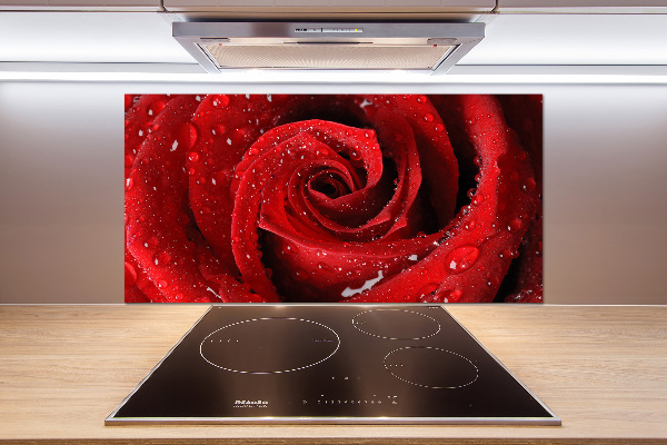 Spatplaat keuken Druppels op een roos