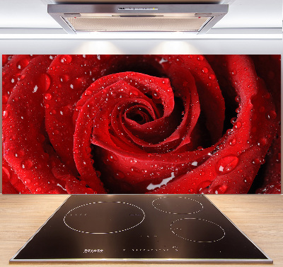 Spatplaat keuken Druppels op een roos