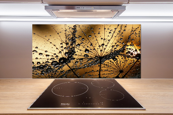 Panel do kuchni Nasiona dmuchawca