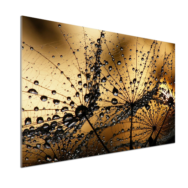 Keuken achterwand Paardenbloemzaden