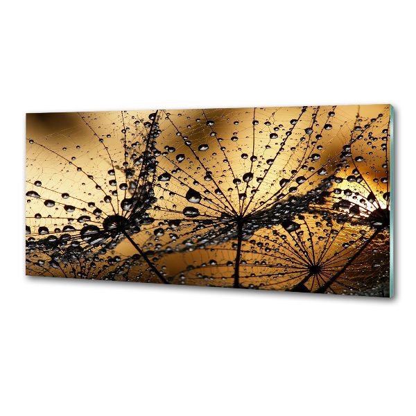 Keuken achterwand Paardenbloemzaden