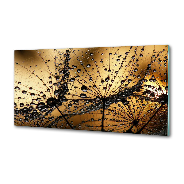 Keuken achterwand Paardenbloemzaden