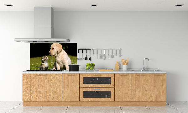 Spatplaat keuken Hond en kat in de wei