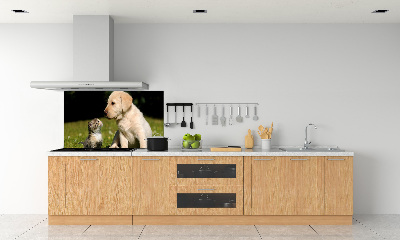 Spatplaat keuken Hond en kat in de wei