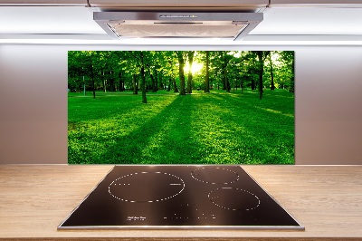 Spatplaat keuken Gras in het park