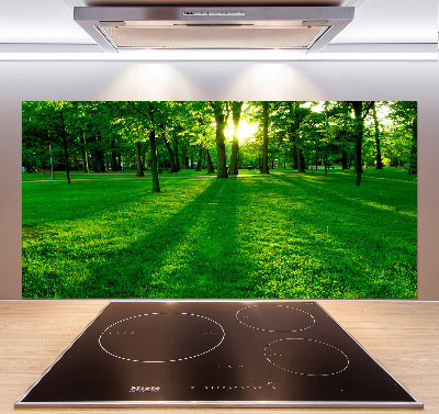 Panel do kuchni Trawa w parku