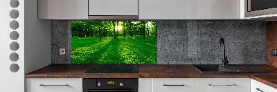 Panel do kuchni Trawa w parku