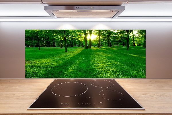 Panel do kuchni Trawa w parku