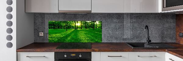 Spatplaat keuken Gras in het park