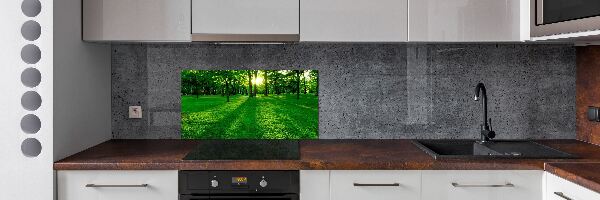 Spatplaat keuken Gras in het park