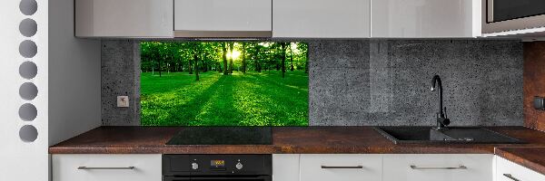 Panel do kuchni Trawa w parku