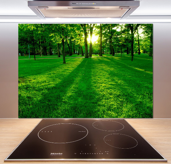 Panel do kuchni Trawa w parku