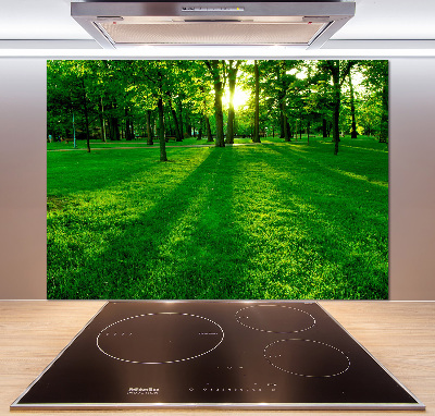 Panel do kuchni Trawa w parku