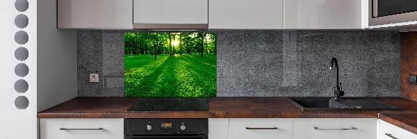 Spatplaat keuken Gras in het park
