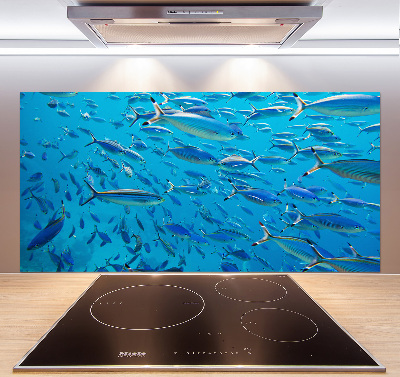Keuken achterwand Koraalvis