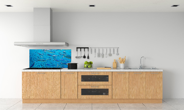 Keuken achterwand Koraalvis