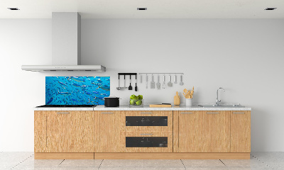 Keuken achterwand Koraalvis