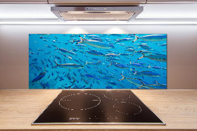 Keuken achterwand Koraalvis