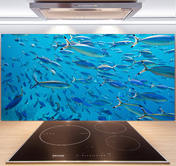 Keuken achterwand Koraalvis