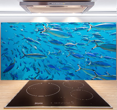 Keuken achterwand Koraalvis