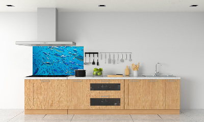 Keuken achterwand Koraalvis