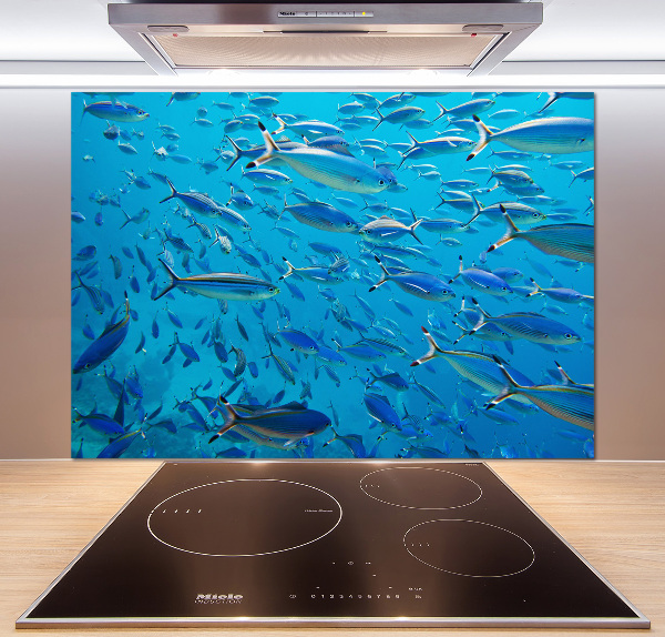 Keuken achterwand Koraalvis