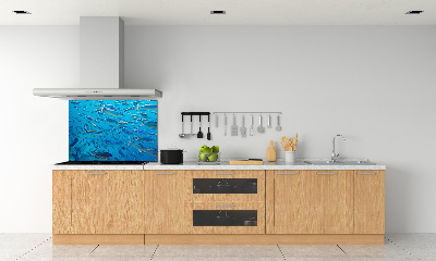 Keuken achterwand Koraalvis