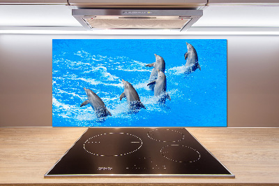 Glazen achterwand keuken Dolfijnen